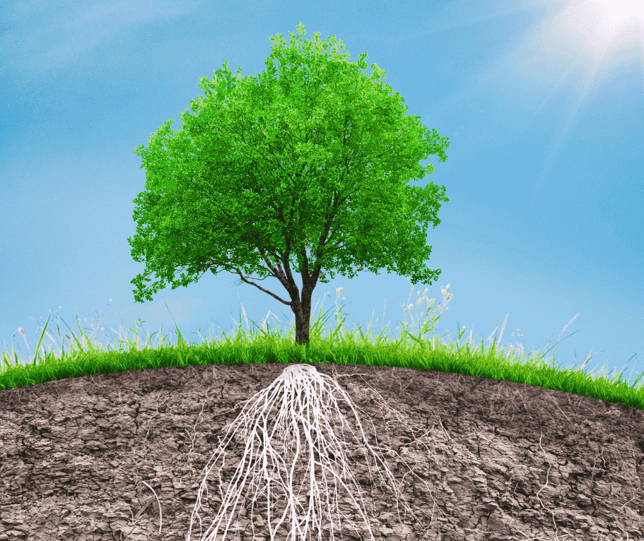 Blogartikel 1 Coaching, Mentaltraining, Aargau, Wohlen