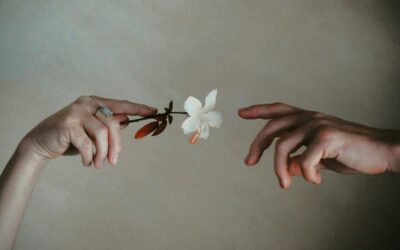 Herzmensch & Gefühlsklärer: Wenn Dualseelen sich im Bindungstrauma begegnen