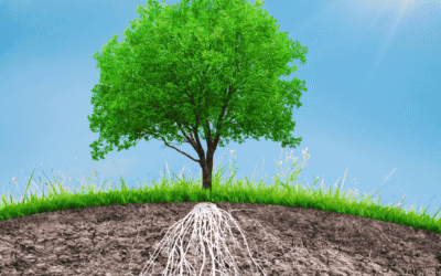 Warum so viele spirituelle Lehrer narzisstisch oder emotional unreif sind