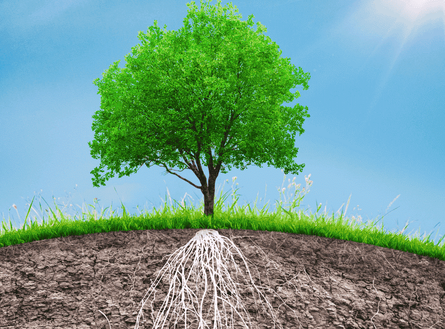 Warum so viele spirituelle Lehrer narzisstisch oder emotional unreif sind